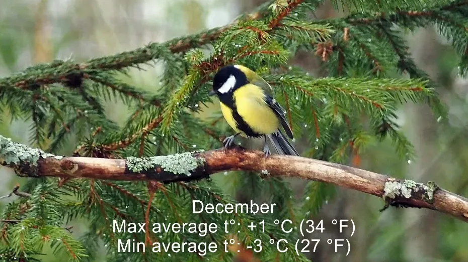 Climate-in-Sweden
