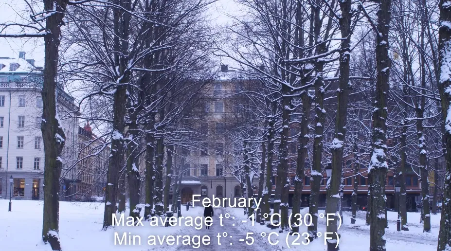 https://borealdiary.com/what-is-the-climate-in-sweden-cold-or-hot/