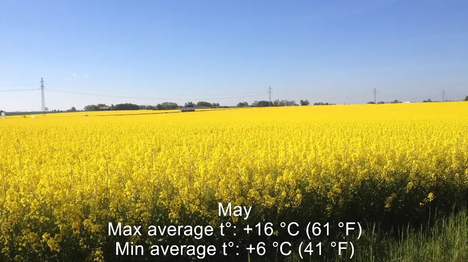 What is the Climate in Sweden Cold Or Hot?
