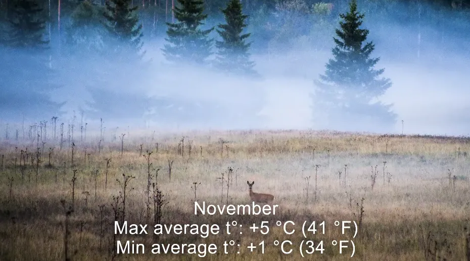 What is the Climate in Sweden Cold Or Hot?
