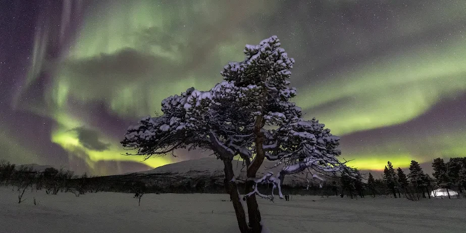 Northern light