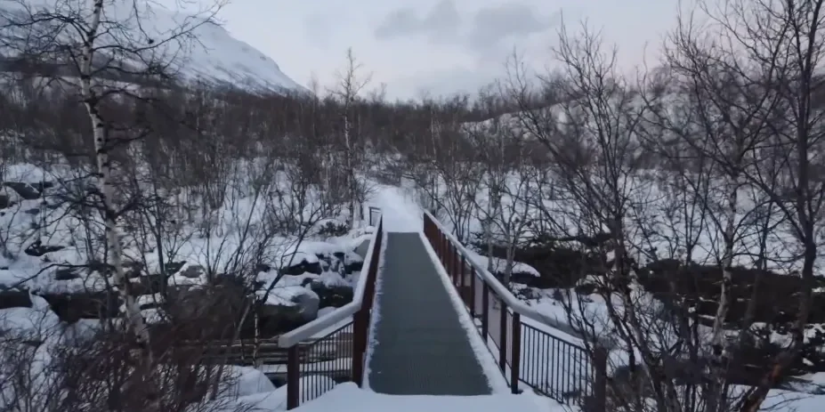 abisko national park