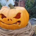 Where to Celebrate Halloween in Stockholm Sweden-2025