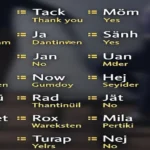 Essential Swedish Words for Beginners