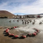 What To Wear In Iceland In February- Essential Guide For Visitors