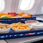 Top 10 Best Airplane Snacks for Travelers