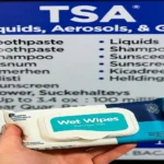 Can You Bring Wet Wipes on a Plane-TSA Guidelines & Tips