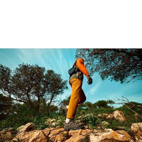Best Shoes For Hiking And Walking: Top Picks