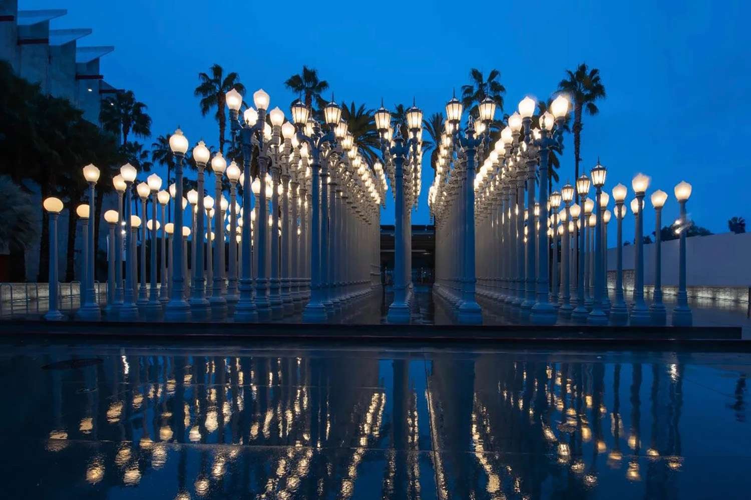 Things To Do In Los Angeles For Free: Ultimate Guide