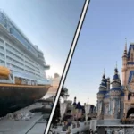 Disneyland Vs Disney Cruise: Best Family Guide