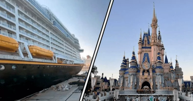 Disneyland Vs Disney Cruise